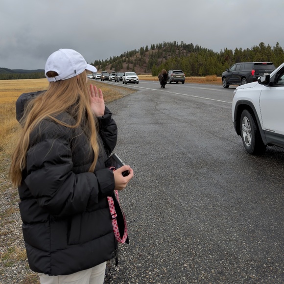 The North face black puffer- 1996 Retro Nuptse jacket , excellent condition!! - Picture 3 of 3